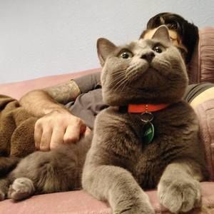 Meet your Posher, Alex